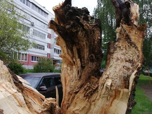 Последствия непогоды в Челнах: поваленные на авто деревья и ЧП на стройке. Фото