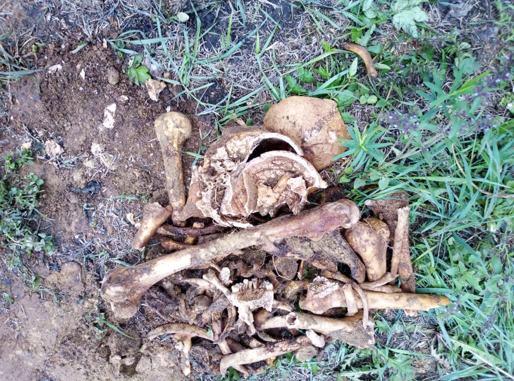 Фото: останки человека обнаружены экскаваторщиком во время рытья траншеи 