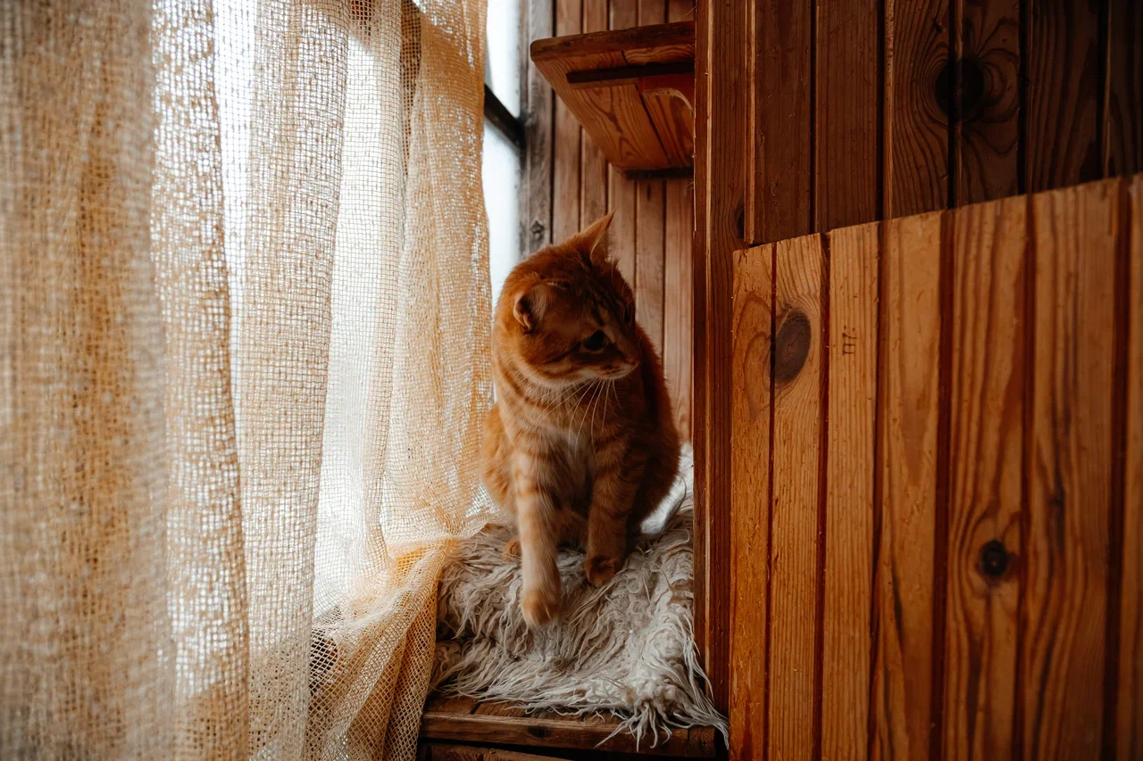 «Когда там у бабушки ноги гниют, потому что у нее сахарный диабет, от нее какой запах должен исходить?» «Когда там у бабушки ноги гниют, потому что у нее сахарный диабет, от нее какой запах должен исходить?»