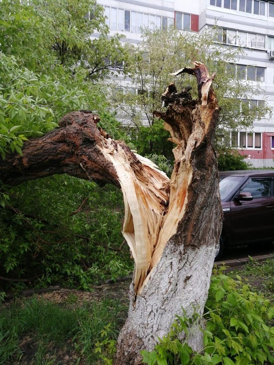 Последствия непогоды в Челнах: поваленные на авто деревья и ЧП на стройке. Фото