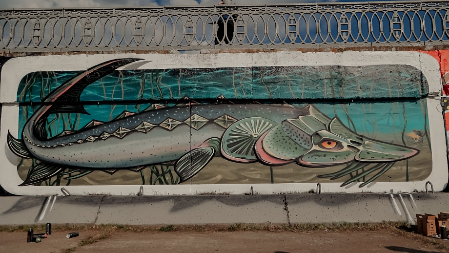 Граффитисты из Питера, Казани и Ижевска разрисовали стену на набережной (фото)
