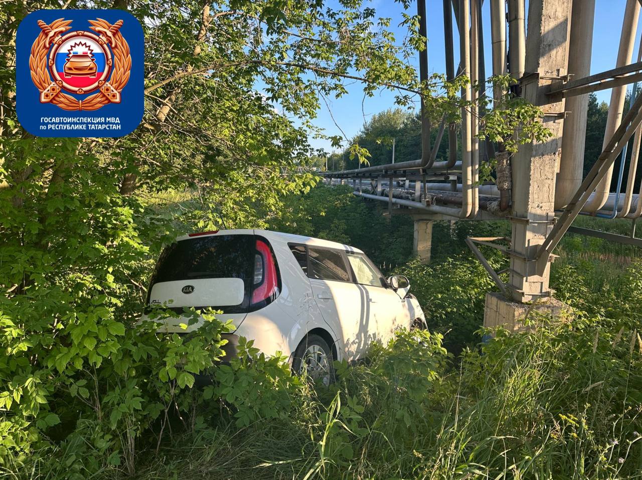 В Нижнекамске машина улетела в кювет после столкновения с лосем (фото) В Нижнекамске машина улетела в кювет после столкновения с лосем (фото)