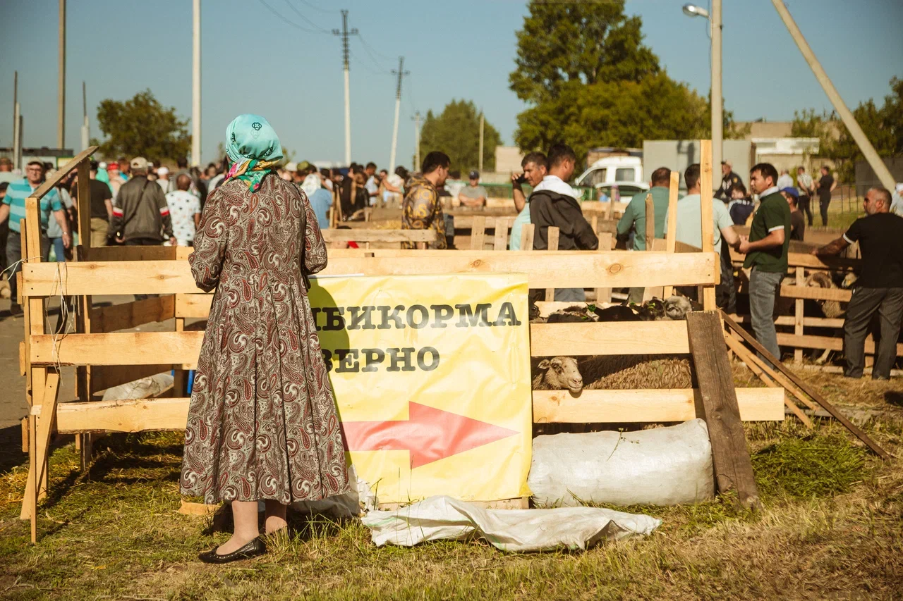 «Вы в чатах видите, кто привез, по какой цене продает. Чтобы у нас потом не было случайных событий» 