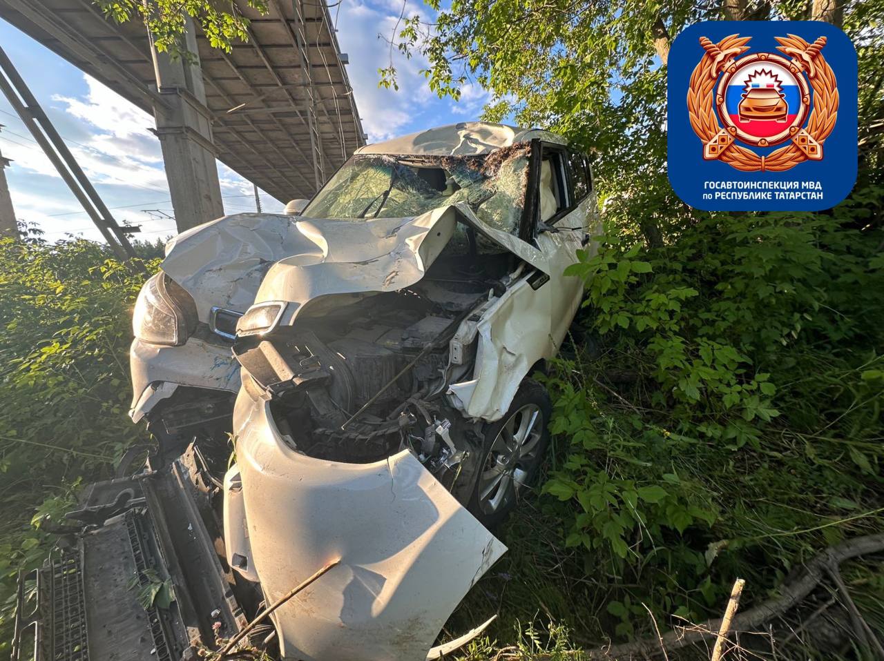 В Нижнекамске машина улетела в кювет после столкновения с лосем (фото) В Нижнекамске машина улетела в кювет после столкновения с лосем (фото)