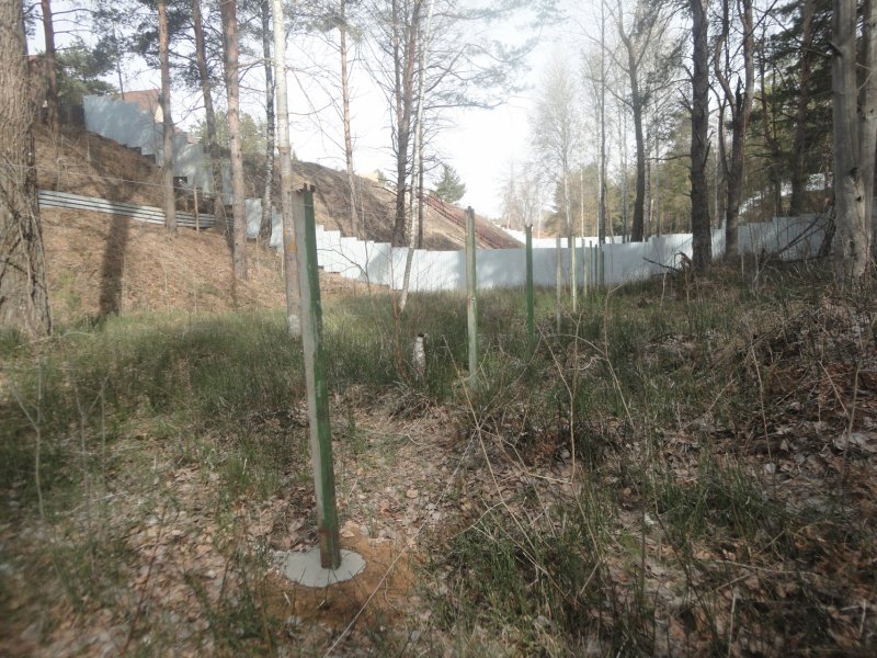 ОНФ сообщил в прокуратуру о незаконном строительстве в Шильнинском лесу