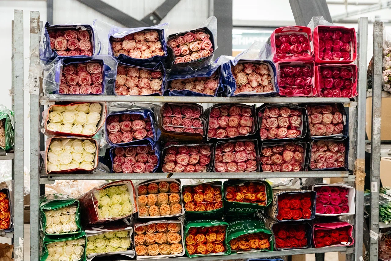 У игроков цветочного рынка ажиотаж – товар разбирают по пути на склад (фото) У игроков цветочного рынка ажиотаж – товар разбирают по пути на склад (фото)