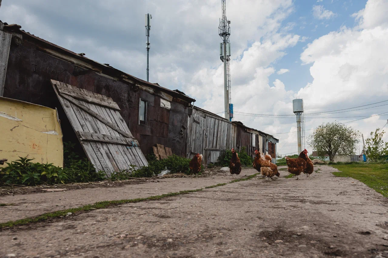 «Здесь будет 13 участков. Колышки в землю забили, распределили. Аукцион, говорят, был»