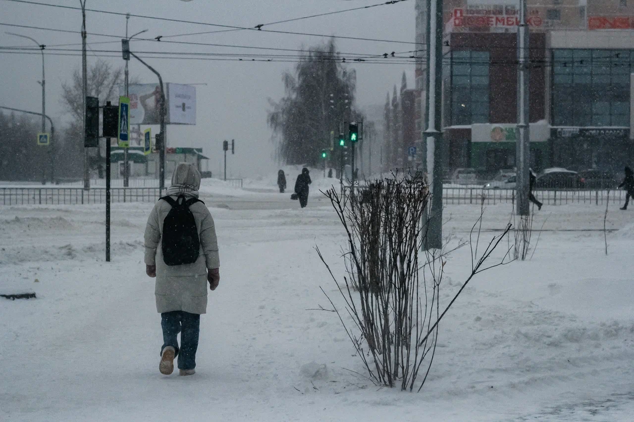«Предпринимателей за ручку водить не надо, главное – не мешать. Вам предстоит найти общий язык с бизнесом»