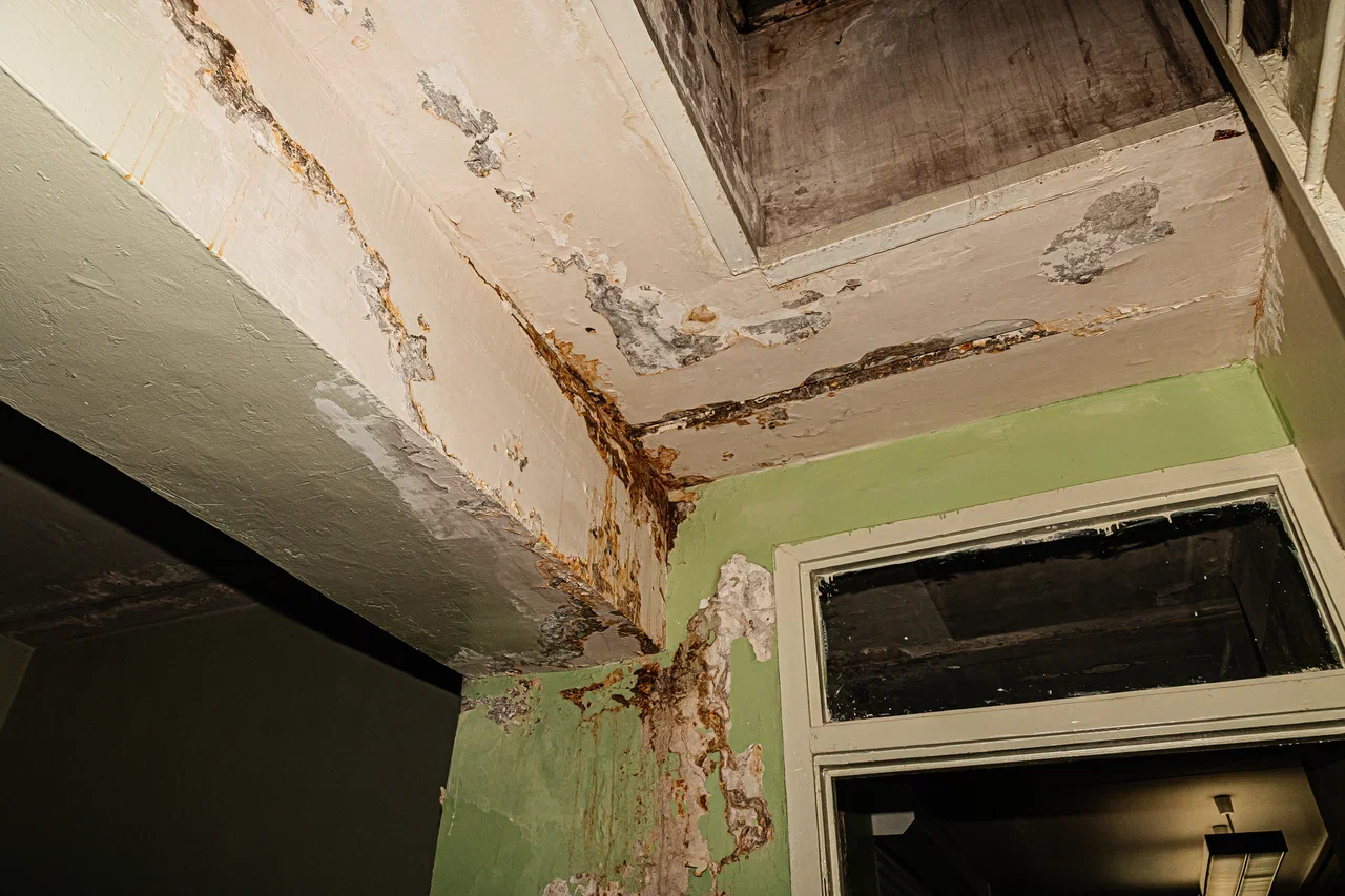 «Там могут быть скрытые дефекты, о которых мы не знаем. Здание пришло в такое состояние где-то в 2004 году» «Там могут быть скрытые дефекты, о которых мы не знаем. Здание пришло в такое состояние где-то в 2004 году»