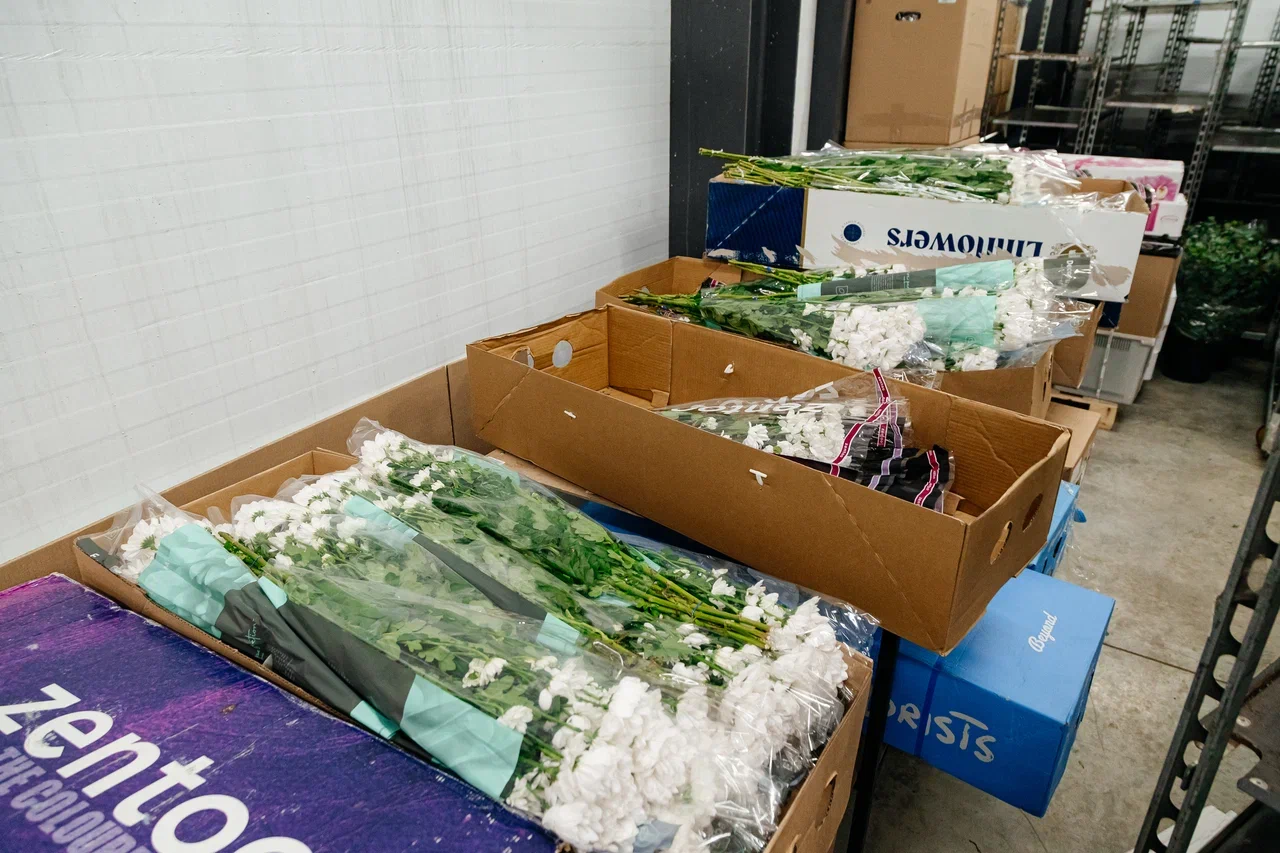 У игроков цветочного рынка ажиотаж – товар разбирают по пути на склад (фото) У игроков цветочного рынка ажиотаж – товар разбирают по пути на склад (фото)