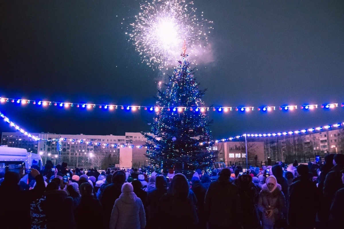 К Новому году в 38 комплексе посадили огромную живую елку (фото) 19.12.2022