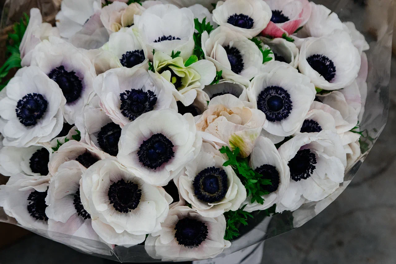 У игроков цветочного рынка ажиотаж – товар разбирают по пути на склад (фото) У игроков цветочного рынка ажиотаж – товар разбирают по пути на склад (фото)