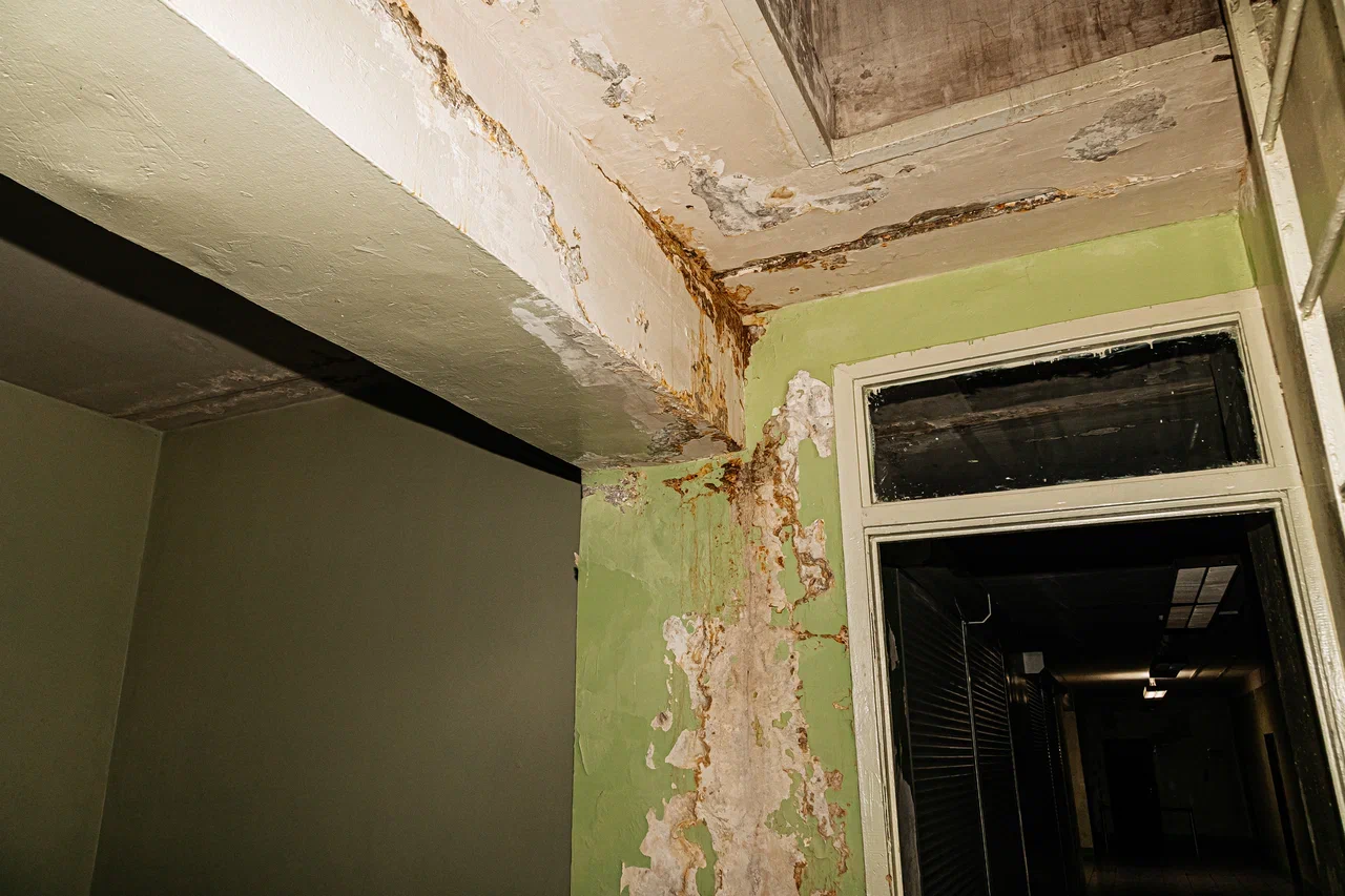 Фото: во что превратился единственный строительный колледж Челнов   