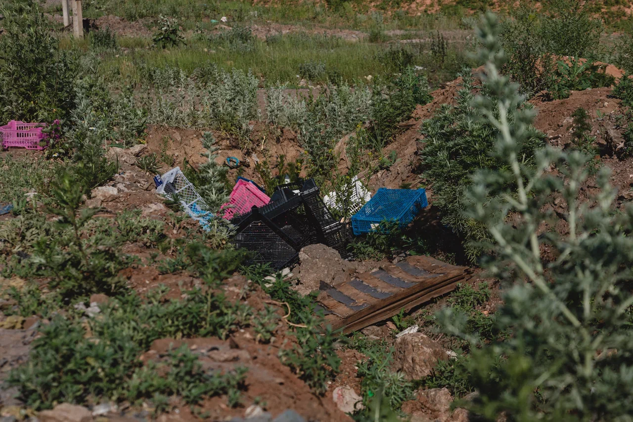 Фото: как на Тогаевской свалке хотели выращивать салат и разводить креветок 