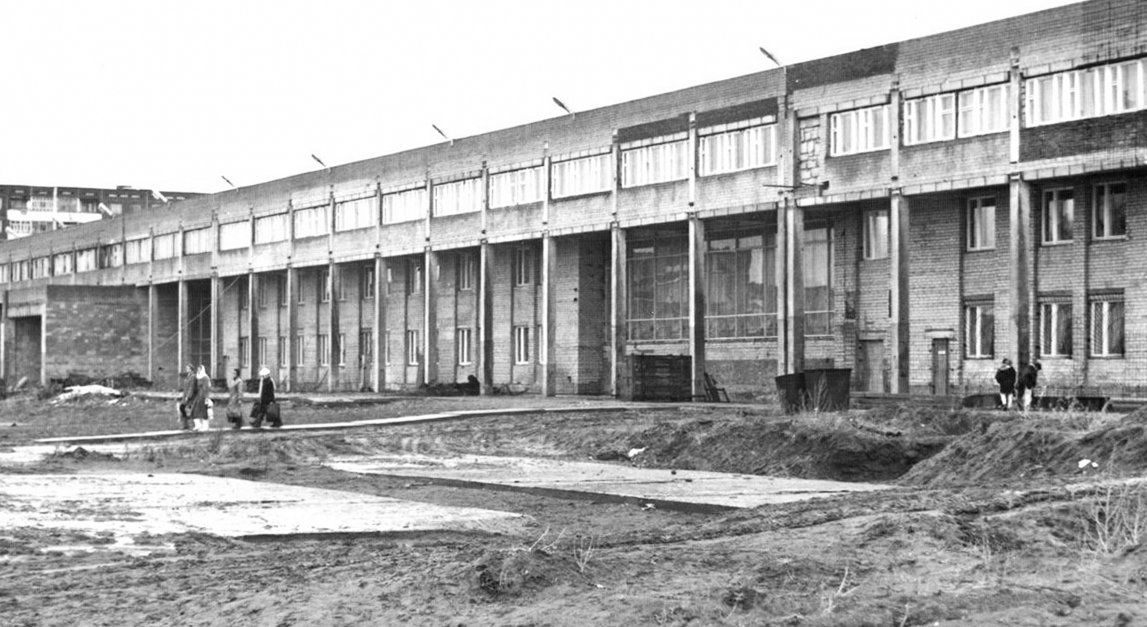 1991 год