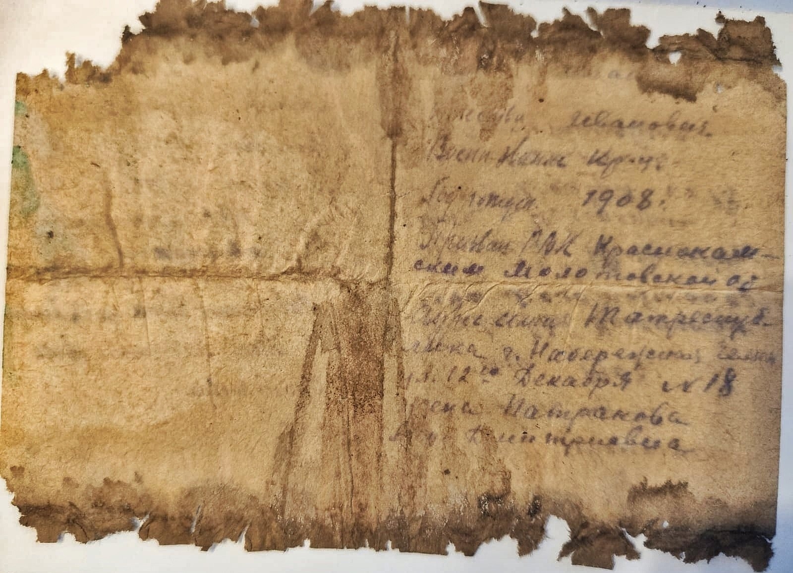 В Тверской области обнаружены останки челнинца, погибшего в 1942-м году