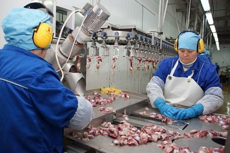 Магазины Челны Бройлер В Набережных Челнах Адреса Магазины Челны Бройлер В Набережных Челнах Адреса