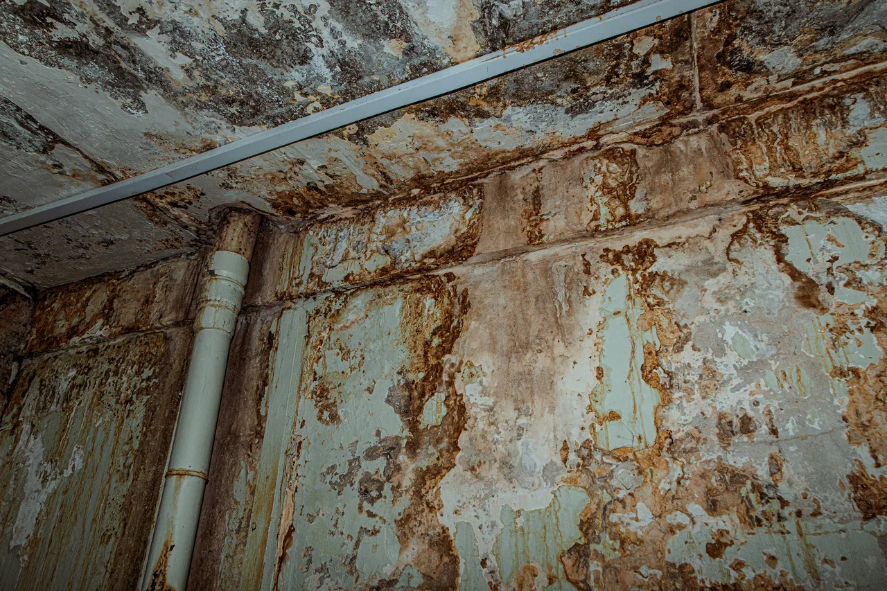 Фото: во что превратился единственный строительный колледж Челнов   