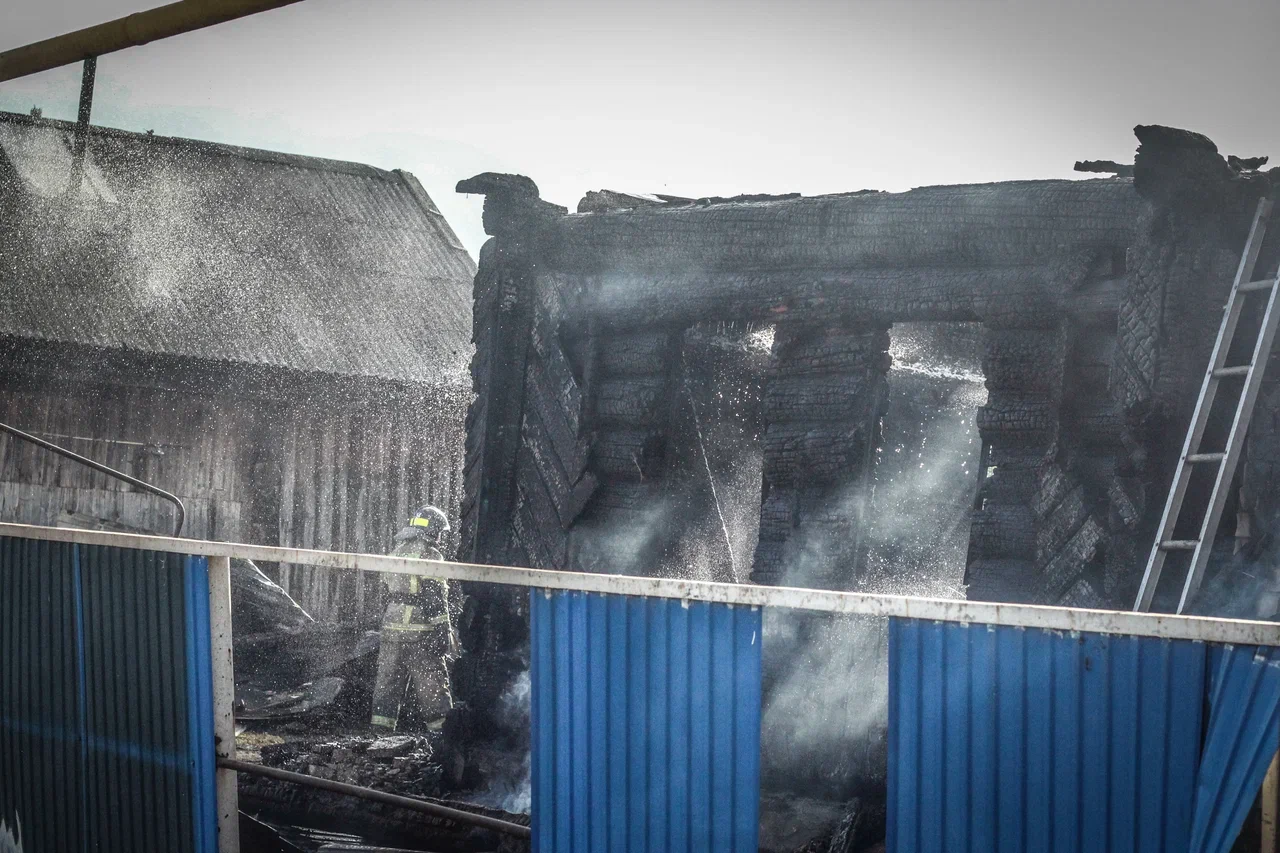 «Трупы были сильно повреждены огнем. От матери остался лишь фрагмент туловища в обугленном состоянии» «Трупы были сильно повреждены огнем. От матери остался лишь фрагмент туловища в обугленном состоянии»