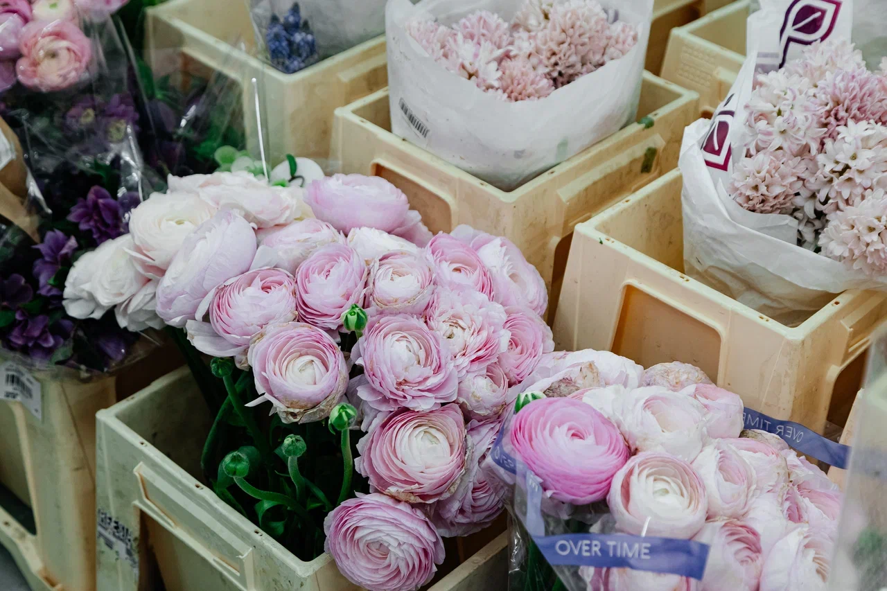 У игроков цветочного рынка ажиотаж – товар разбирают по пути на склад (фото) У игроков цветочного рынка ажиотаж – товар разбирают по пути на склад (фото)