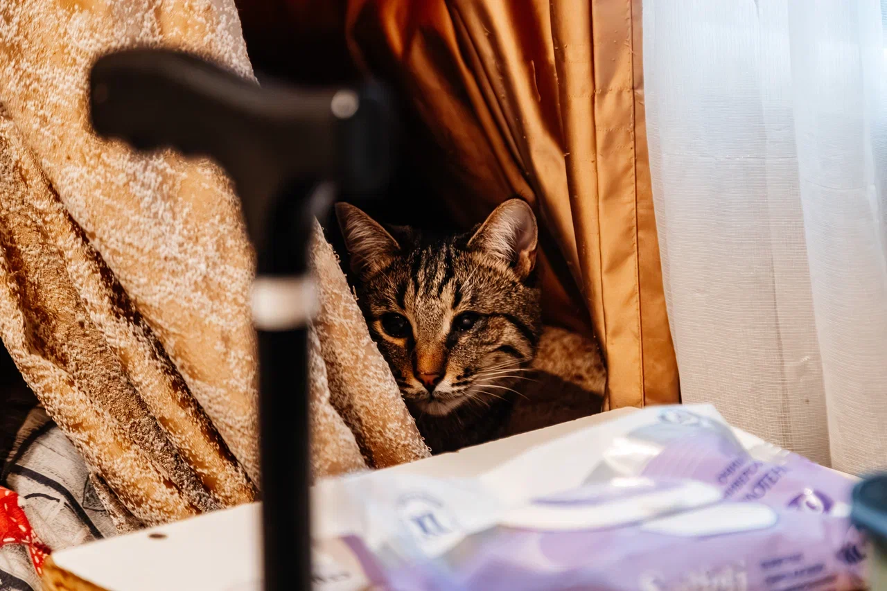 Фото: как выглядит «дом» престарелых, куда нагрянули спецслужбы Фото: как выглядит «дом» престарелых, куда нагрянули спецслужбы