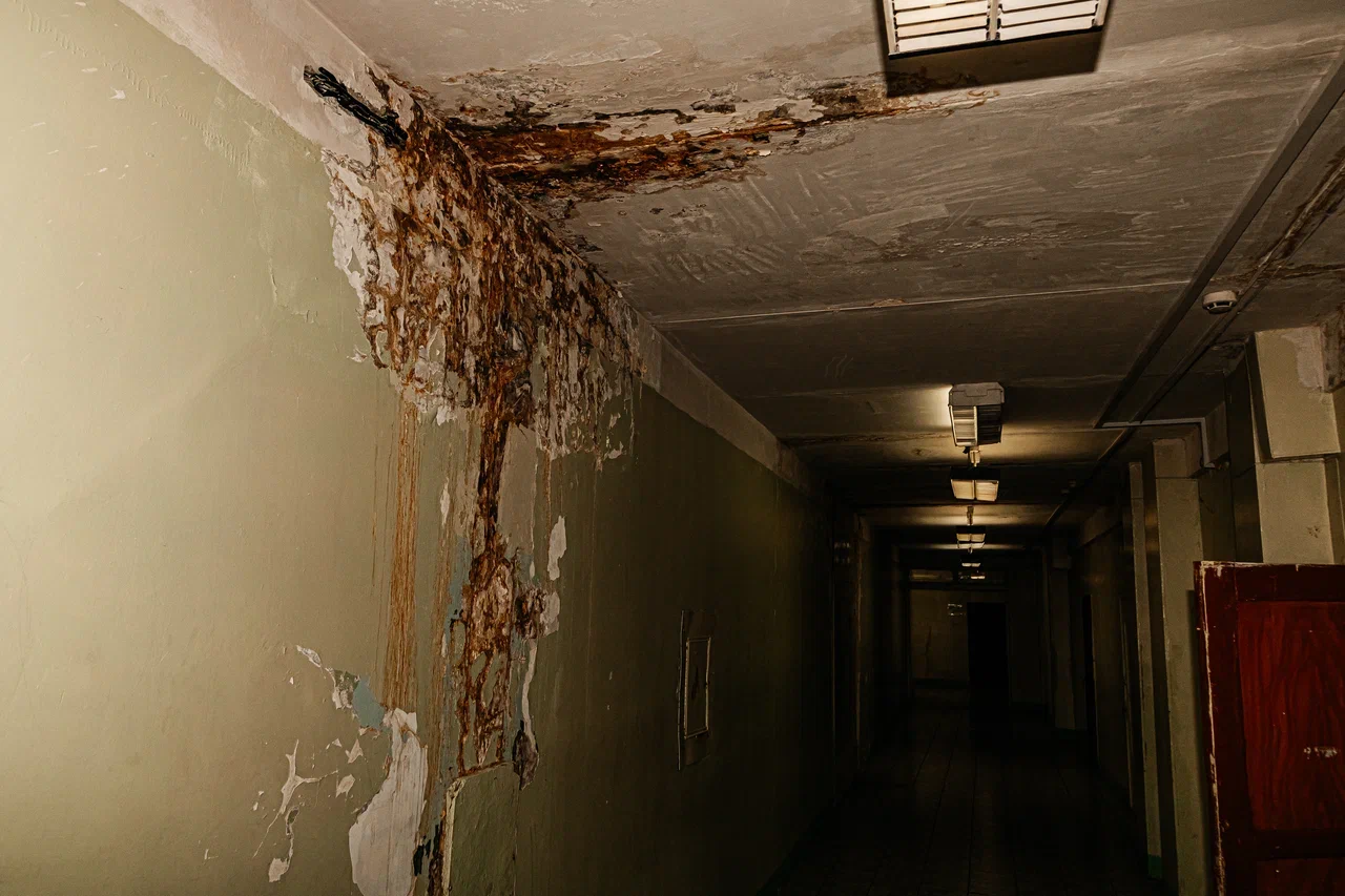 «Там могут быть скрытые дефекты, о которых мы не знаем. Здание пришло в такое состояние где-то в 2004 году» «Там могут быть скрытые дефекты, о которых мы не знаем. Здание пришло в такое состояние где-то в 2004 году»