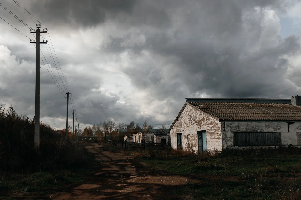 «Сейчас они хотят, чтобы все общее стало. Вспомнили, что это родительский дом…»