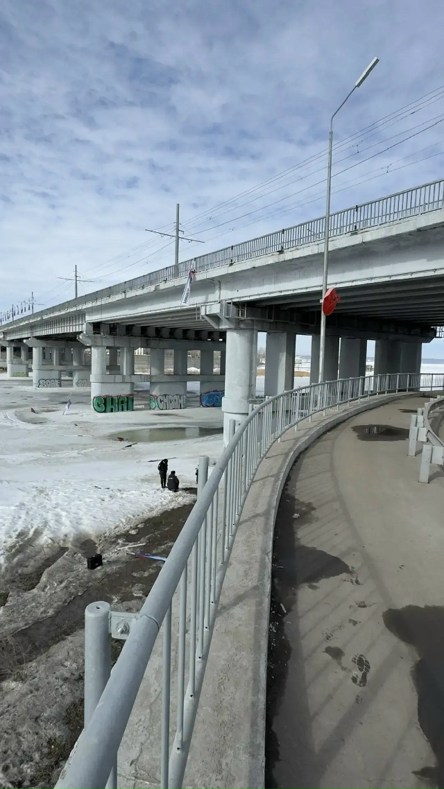 Вандал в Челнах сорвал и выбросил с моста флаги с российским триколором 