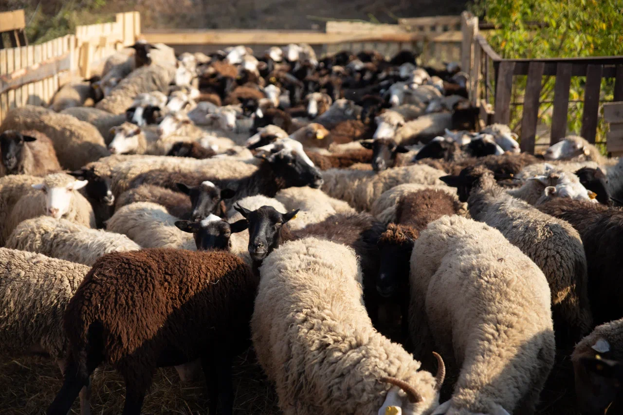 «Я набрался большого опыта работать в команде и решать сложные задачи. Надо только желание взяться»