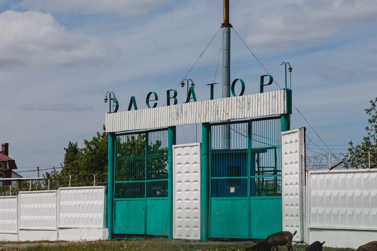 Как выглядит сегодня элеватор, который хотят вывести за пределы города (фото)