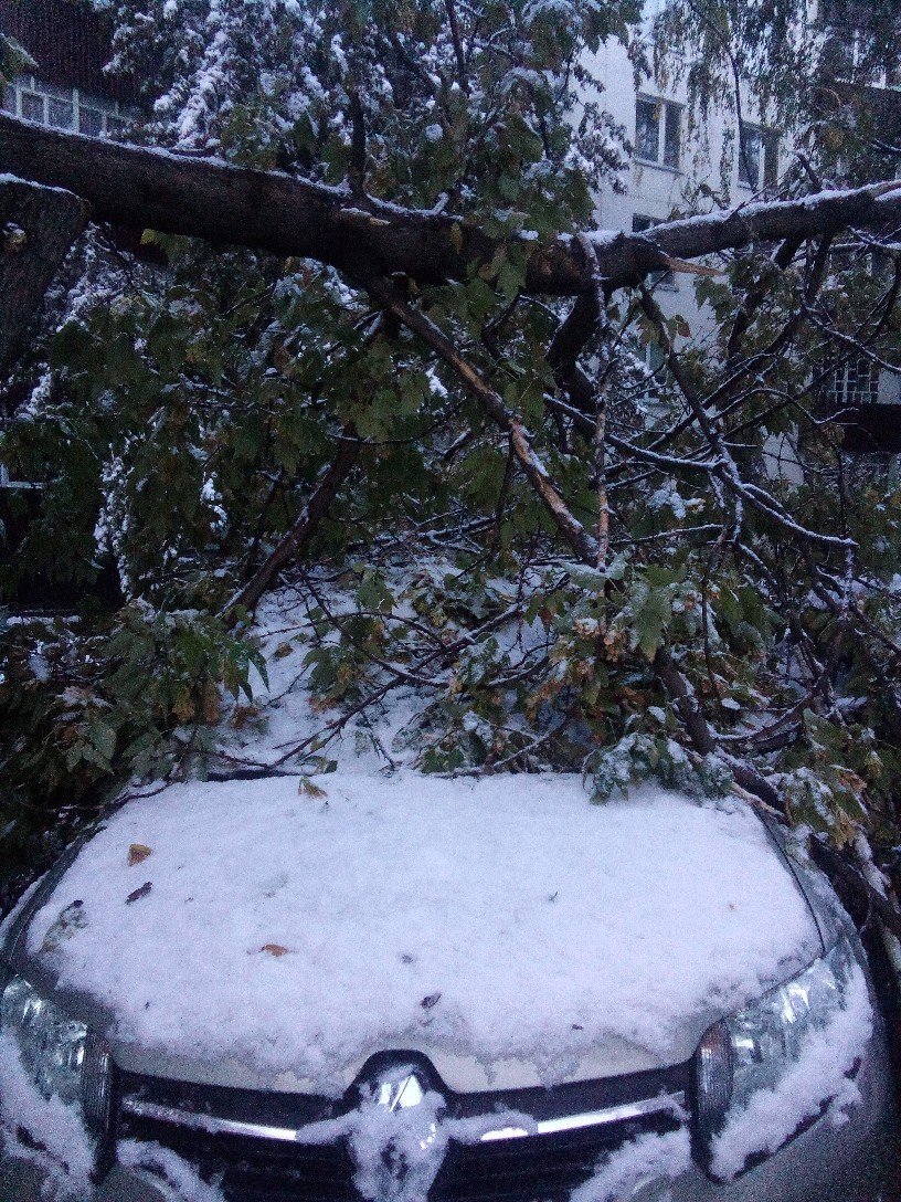 Первый снег и последствия непогоды в Челнах: на машины повалило деревья