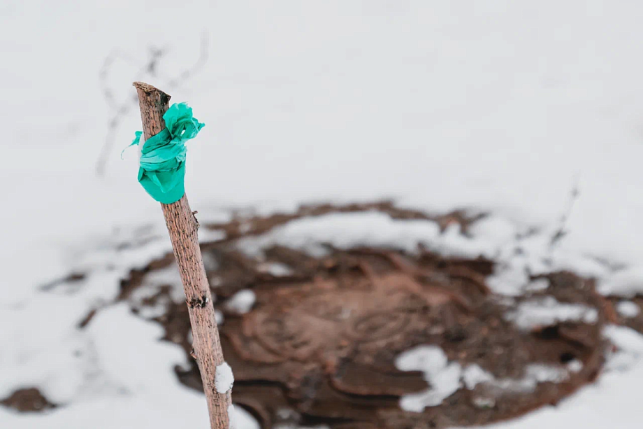 «Калечить людей в мирное время из-за того, что какой-то разгильдяй не выполняет обязанности, мы не можем»