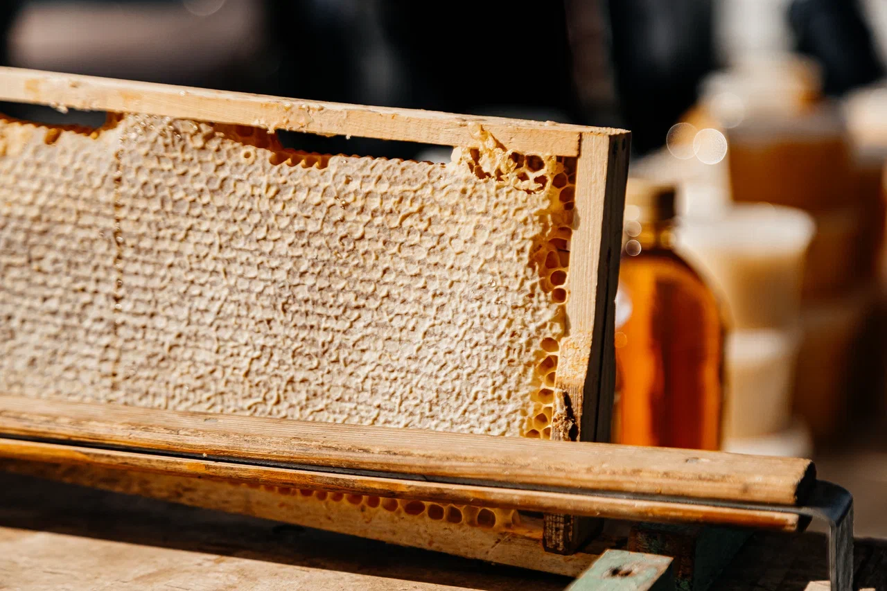 Фото: чем торгуют фермеры на сельхозярмарках в Челнах