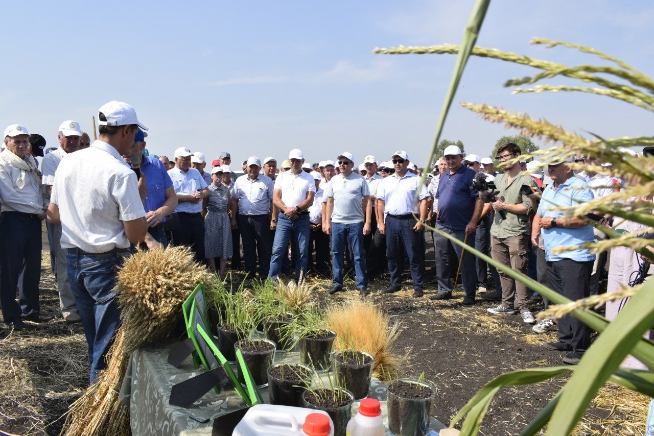 Глава Минсельхоза оценил уборку урожая на полях под Челнами 