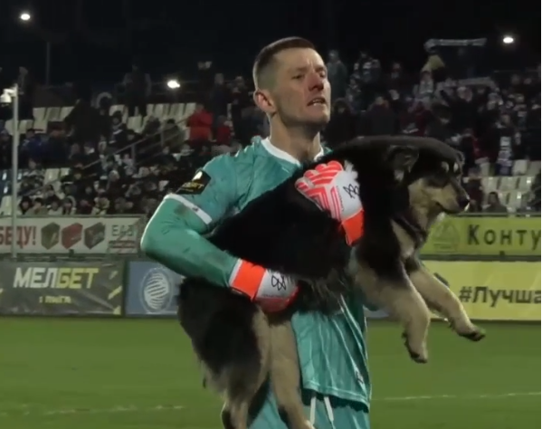 Вратарь ФК «КАМАЗ» Анисимов на руках вынес забежавшего на поле щенка (видео)