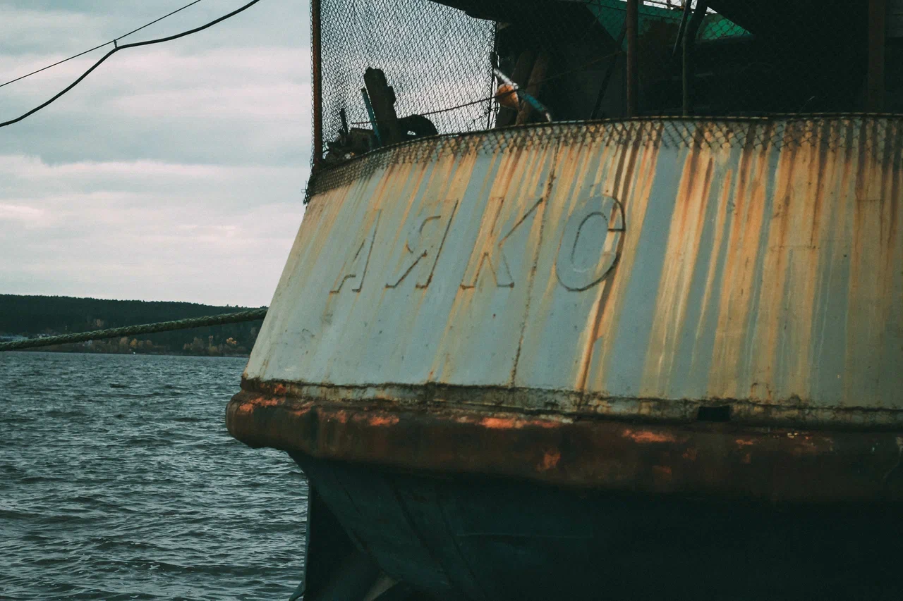 Итоги-2023: уходящий год в 30 фотографиях