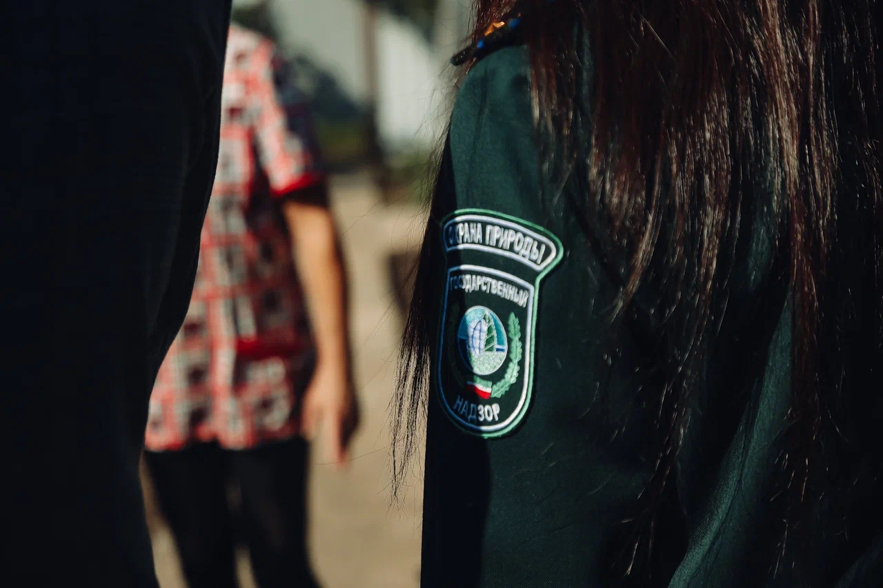 В СНТ начали «прятать» мусорные контейнеры, чтобы сократить расходы 