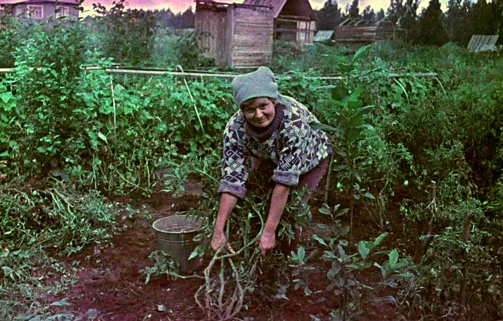 Как в Челнах в 70-е годы раздавали земли под сады-огороды