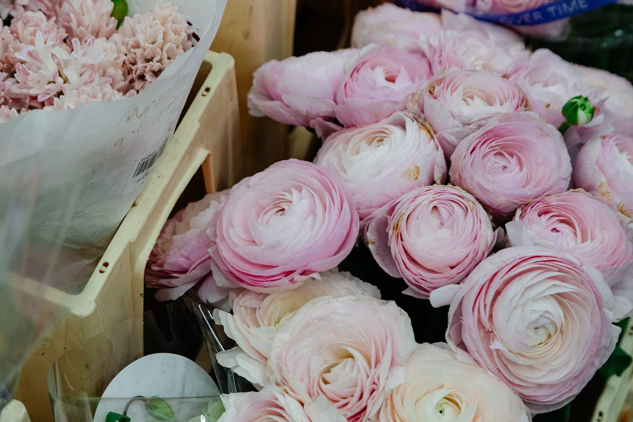 У игроков цветочного рынка ажиотаж – товар разбирают по пути на склад (фото) У игроков цветочного рынка ажиотаж – товар разбирают по пути на склад (фото)