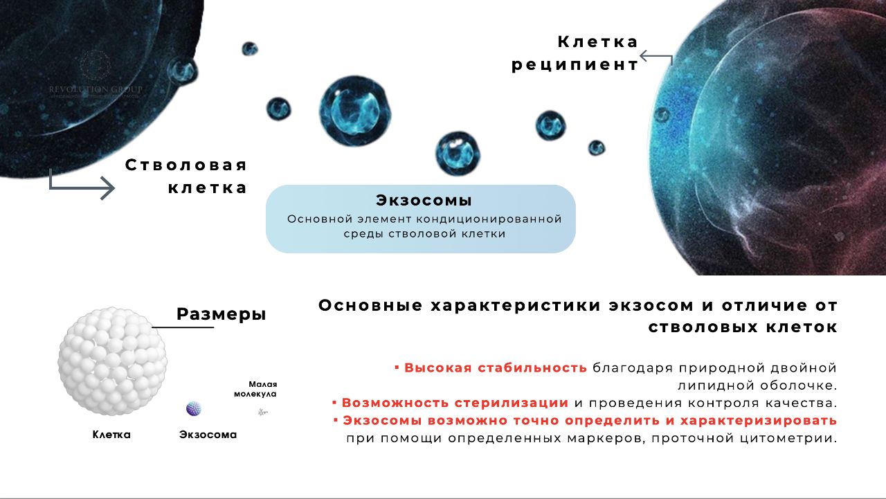  «Экзосомы – прорыв в косметологии 2024 года»: клиника «Люксор» об инновационной процедуре омоложения