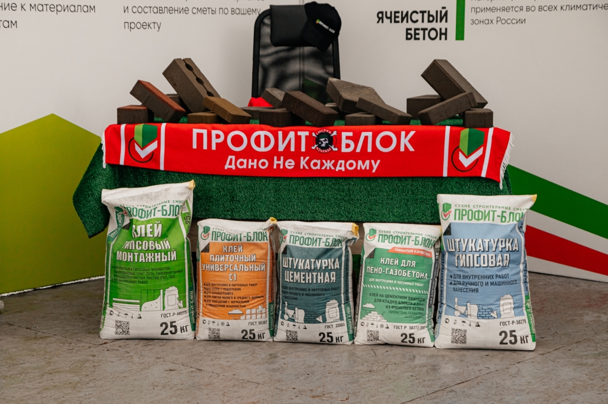 Как в Челнах отметили День строителя: выставка, награды и концерт (фото)