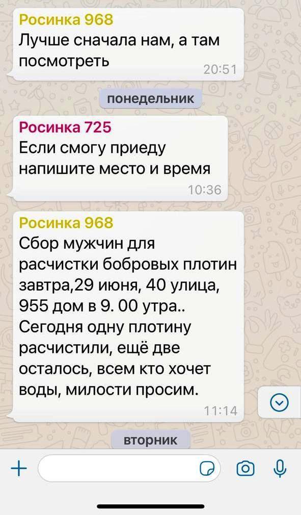 Садоводы Тукаевского обвинили бобров в отсутствии воды и объявили им войну