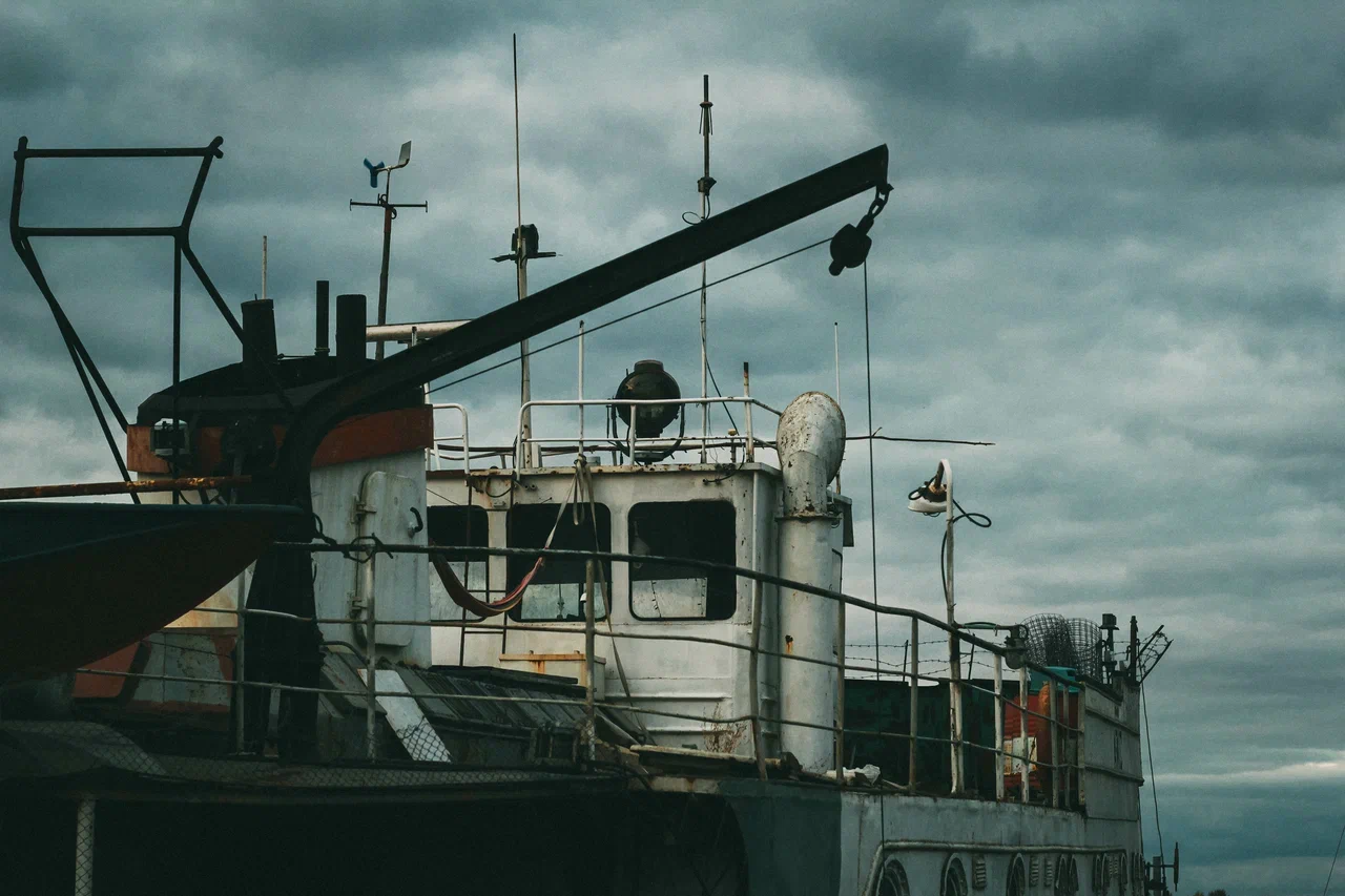 Итоги-2023: уходящий год в 30 фотографиях