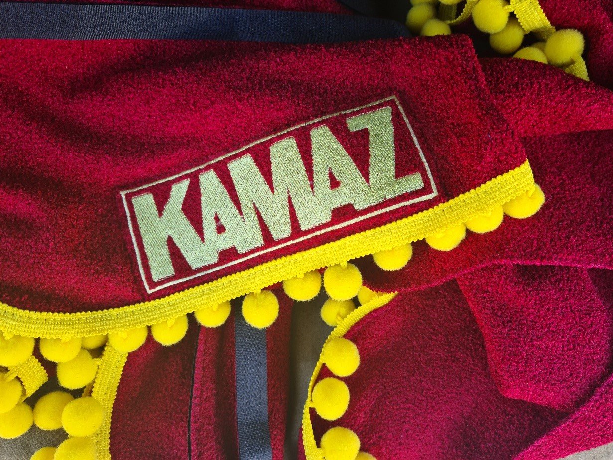 Предпринимательница пошла под суд за вышивку с логотипом «КАМАЗа»
