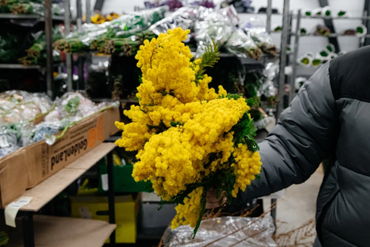 У игроков цветочного рынка ажиотаж – товар разбирают по пути на склад (фото) У игроков цветочного рынка ажиотаж – товар разбирают по пути на склад (фото)