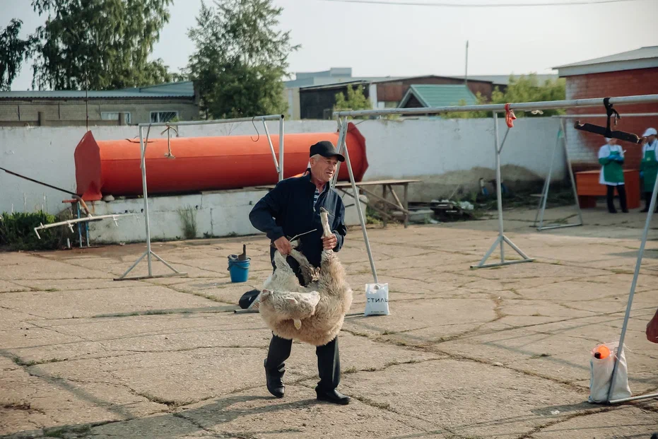 Фото: в Челнах открылась площадка для жертвоприношений на Курбан-байрам