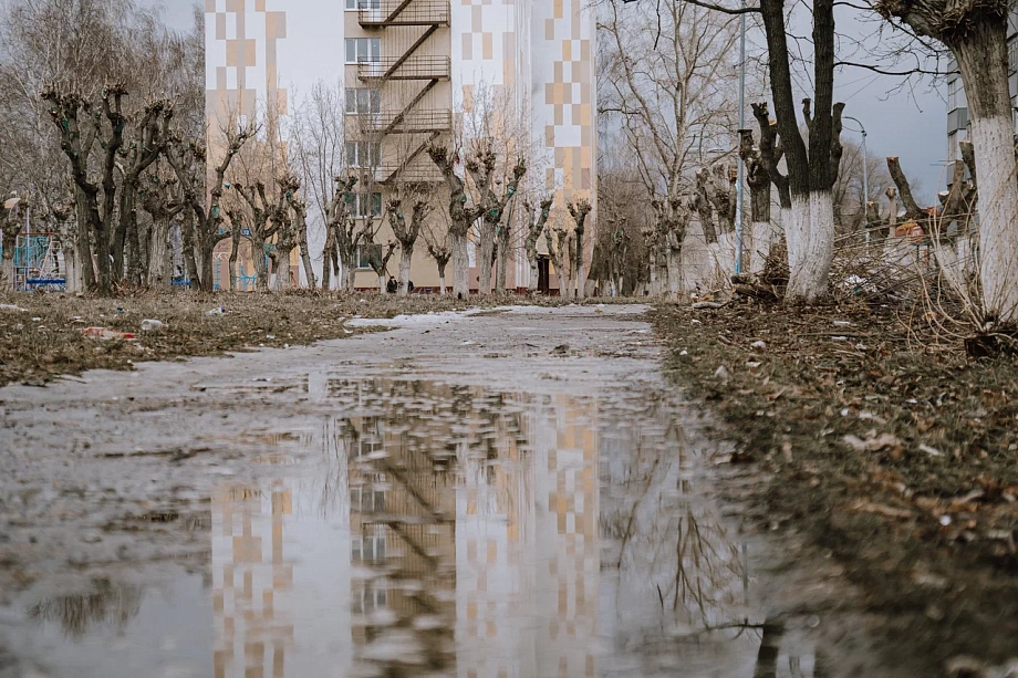 Дело Тарнаевой: как экс-глава крупнейшей управляющей компании избежала реального срока 