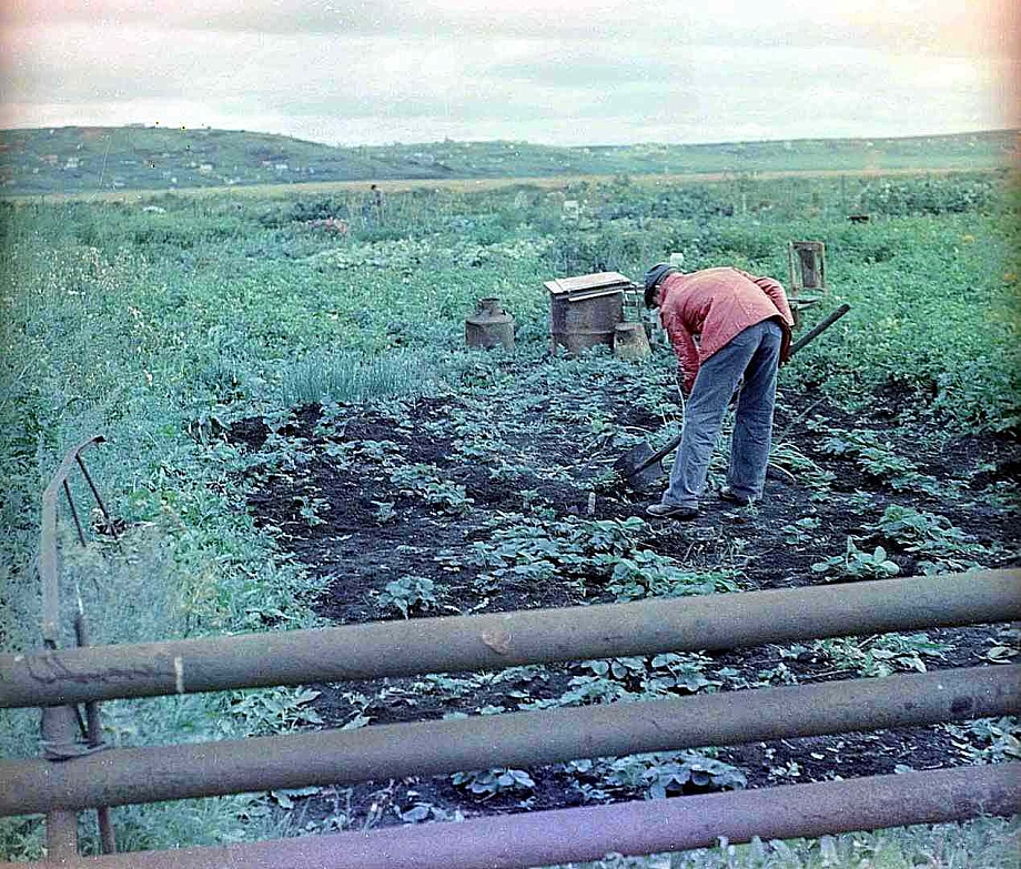 Как в Челнах в 70-е годы раздавали земли под сады-огороды