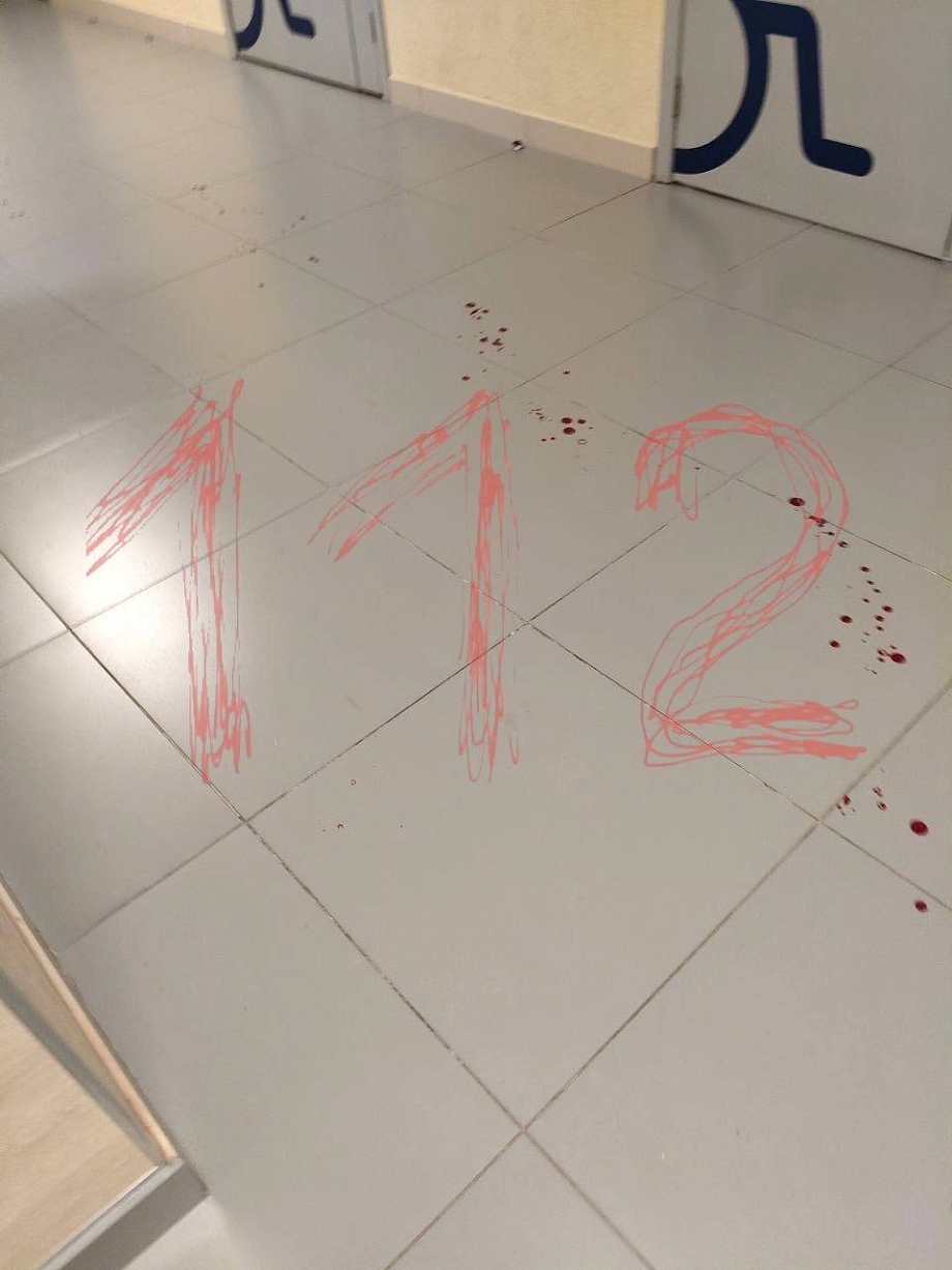 В лицее Нижнекамска школьник с ножом напал на уборщицу, учеников эвакуировали 