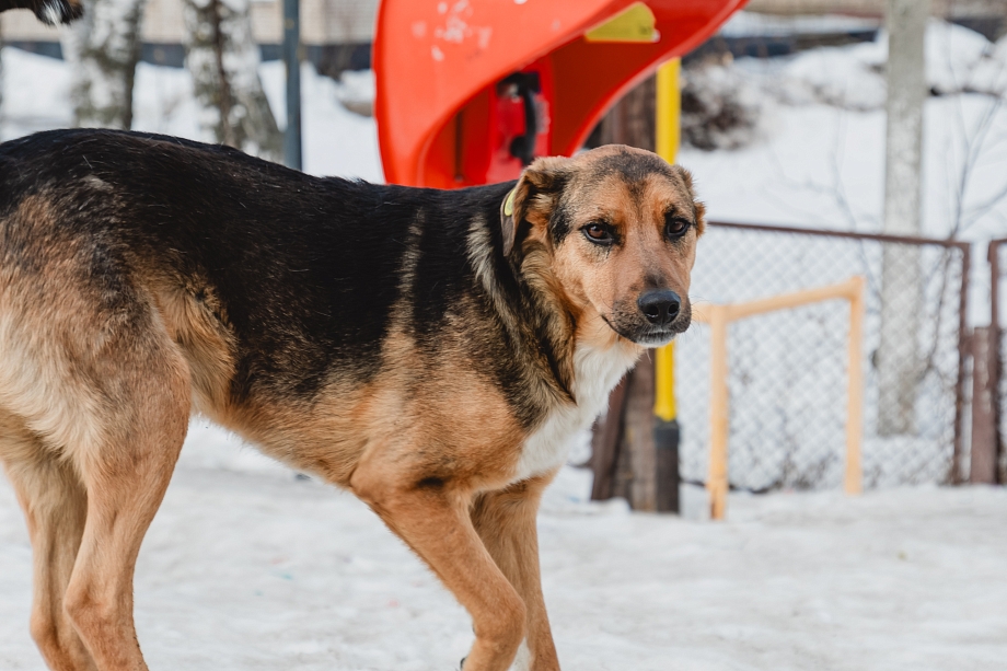«Прокуратура будет действовать максимально жестко: привлекать к ответственности и добиваться устранения нарушений»